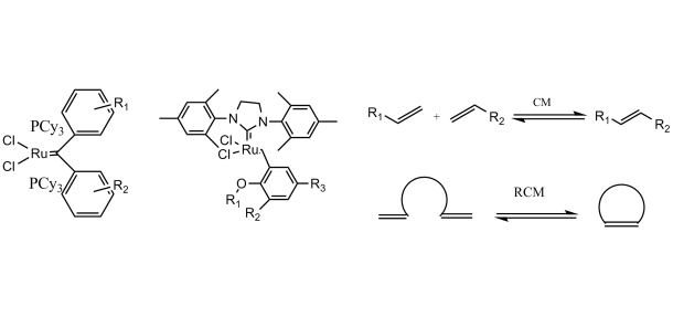 Catalyst and CM/RCM reaction